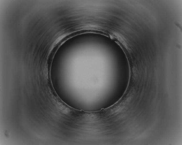 X0000093360931200710111452