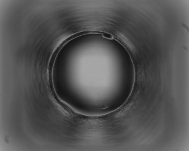 X0000093360932200710111452