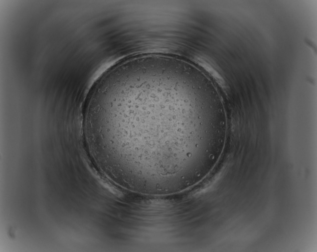 X0000093360933200710111452