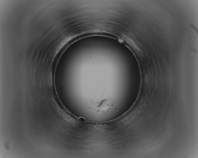 X0000093360934200710111452
