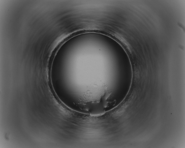 X0000093360935200710111452