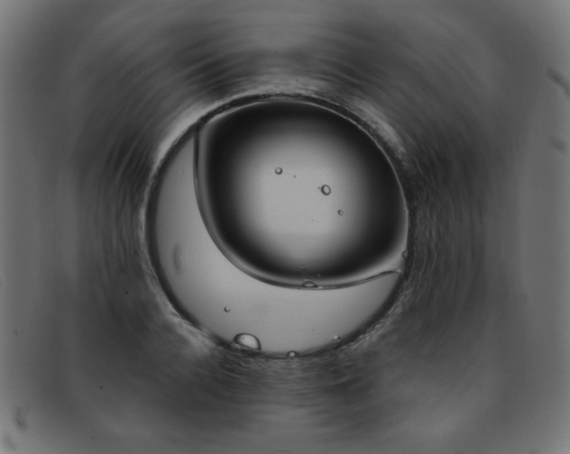 X0000093360936200710111452