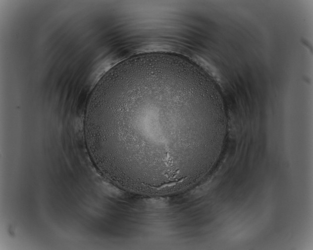 X0000093360937200710111452