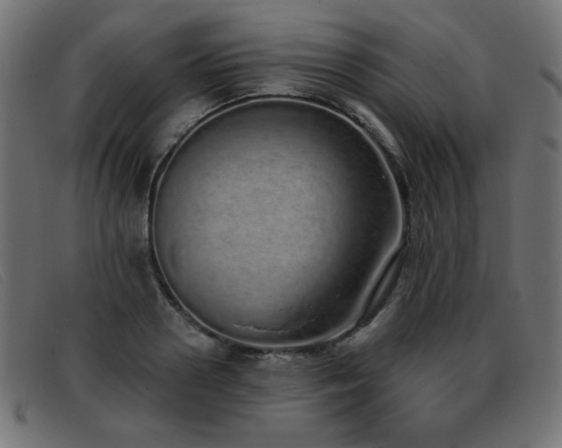 X0000093360938200710111452