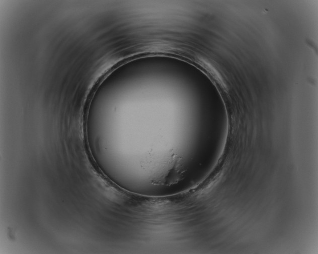 X0000093360939200710111452