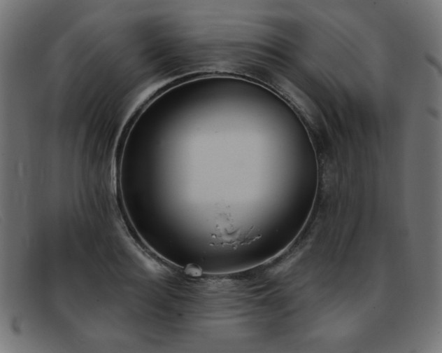 X0000093360940200710111452