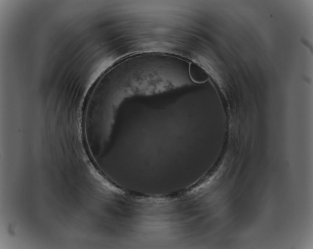 X0000093360941200710111452