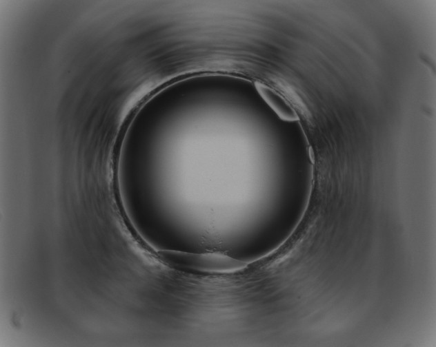 X0000093360944200710111452