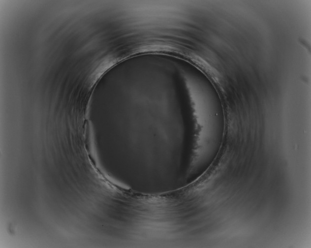 X0000093360945200710111452