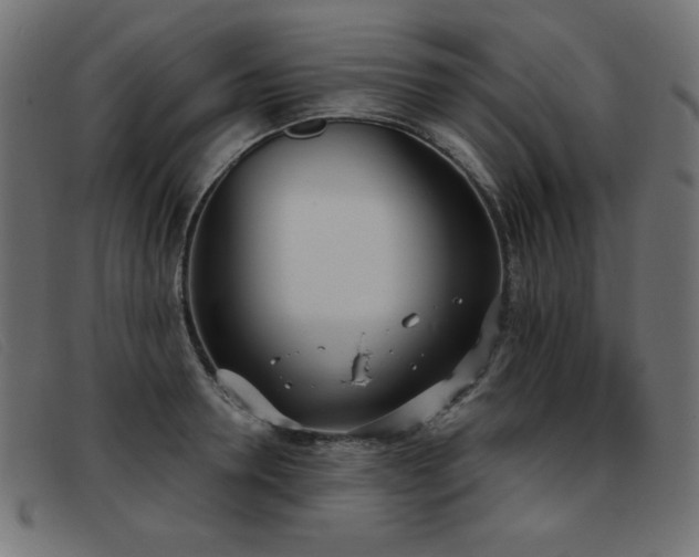 X0000093360946200710111452
