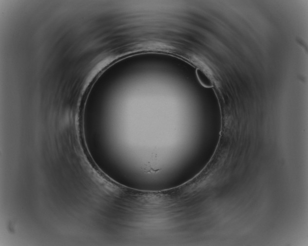 X0000093360947200710111452