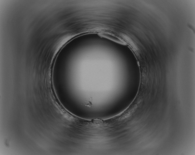 X0000093360948200710111452