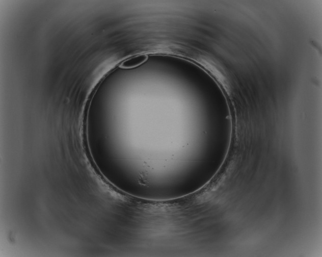 X0000093360949200710111452
