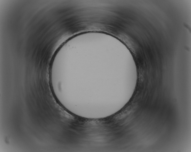 X0000093360950200710111452