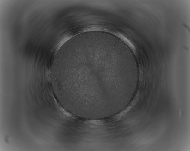 X0000093360953200710111452