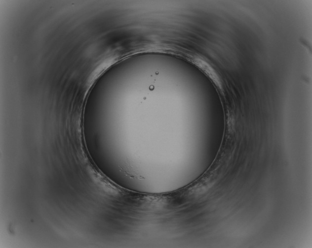 X0000093360954200710111452