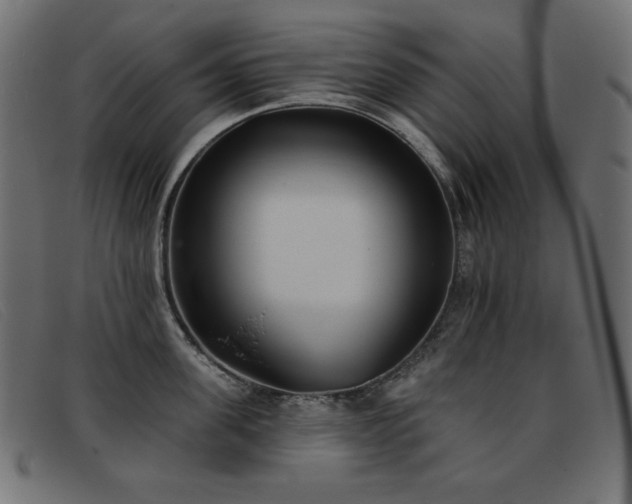 X0000093360955200710111452