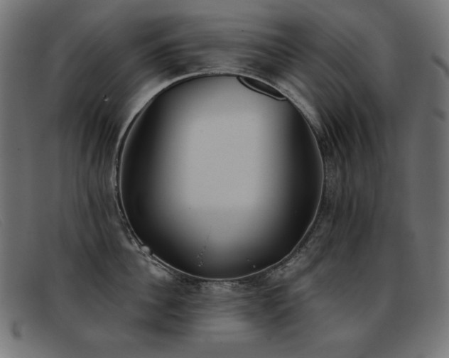 X0000093360956200710111452