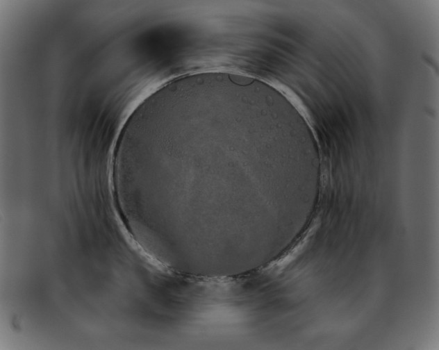 X0000093360957200710111452