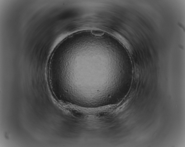 X0000093360958200710111452