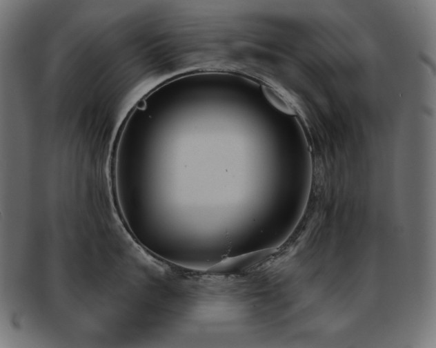 X0000093360959200710111452