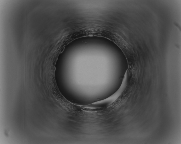 X0000093360961200710111452