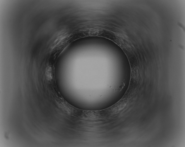 X0000093360962200710111452