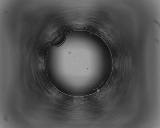 X0000093360964200710111452
