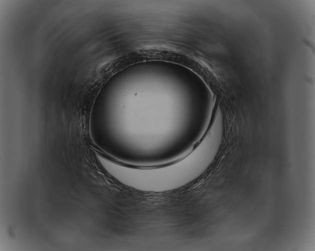 X0000093360965200710111452