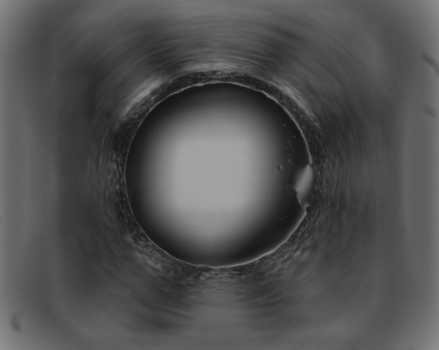 X0000093360967200710111452