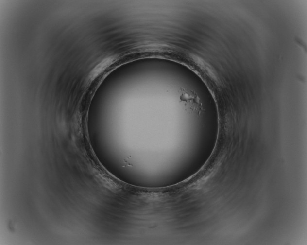 X0000093360970200710111451