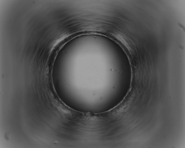 X0000093360971200710111451