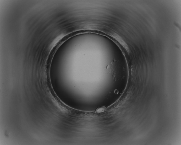 X0000093360972200710111451