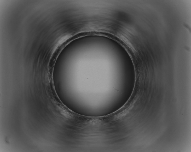 X0000093360974200710111451