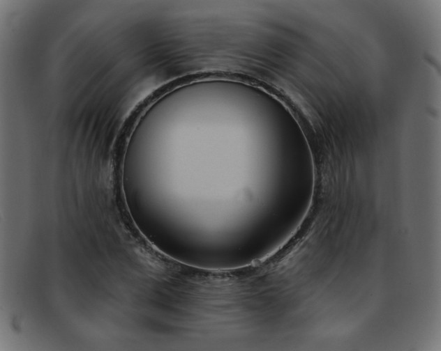X0000093360975200710111451