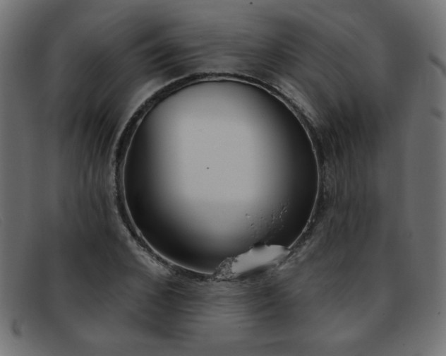 X0000093360976200710111451