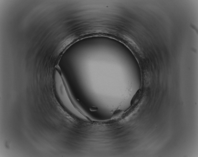 X0000093360977200710111451