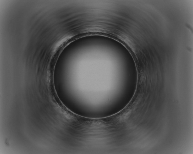 X0000093360979200710111451