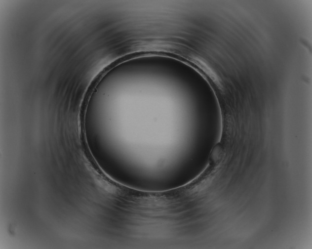 X0000093360980200710111451