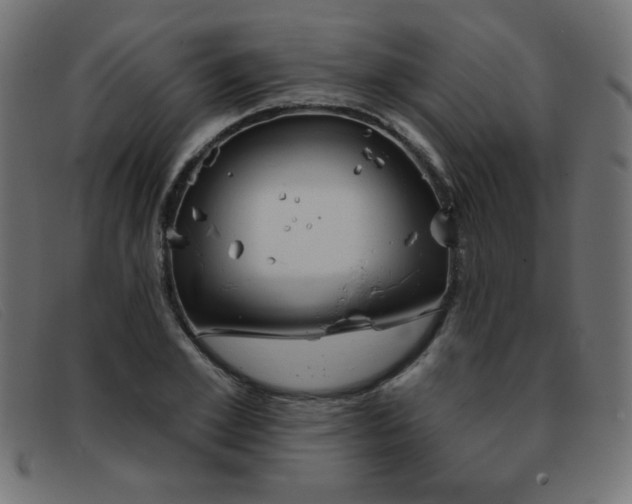 X0000093360981200710111451