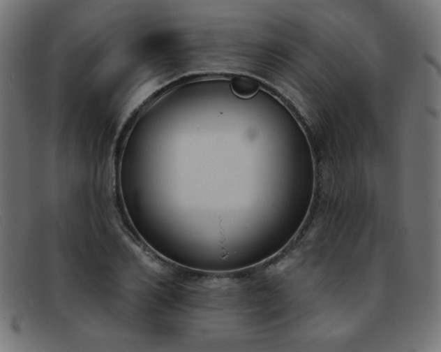 X0000093360982200710111451