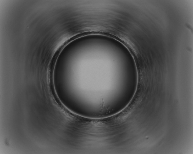 X0000093360983200710111451