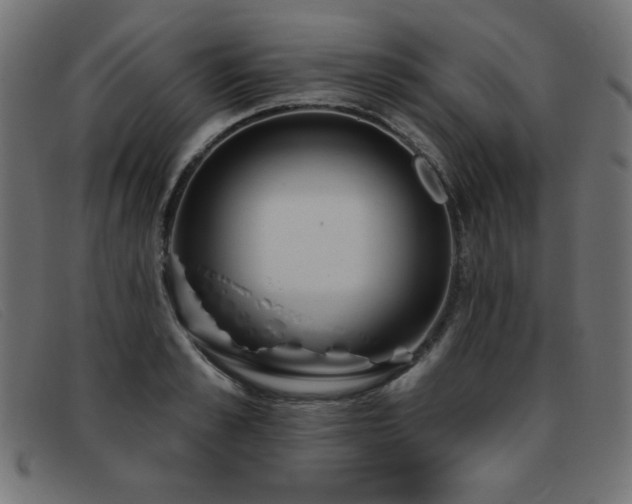 X0000093360989200710111451