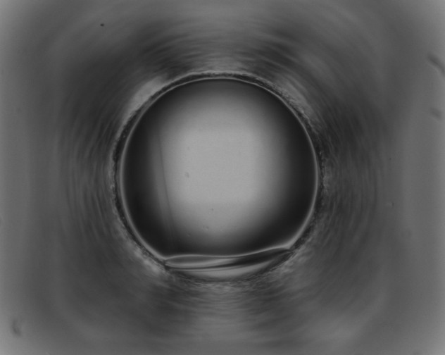 X0000093360990200710111451