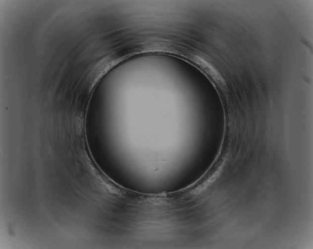 X0000093360993200710111451