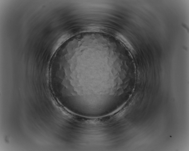 X0000093360994200710111451