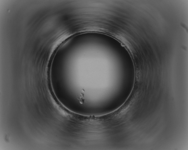 X0000093360995200710111451