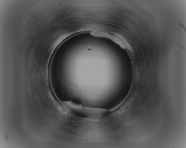 X0000093360996200710111451
