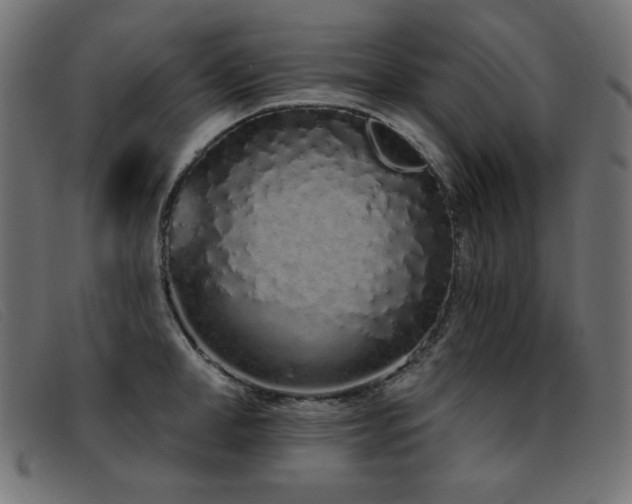 X0000093360998200710111451