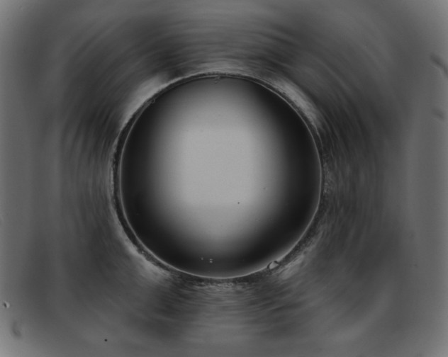 X0000093360999200710111451